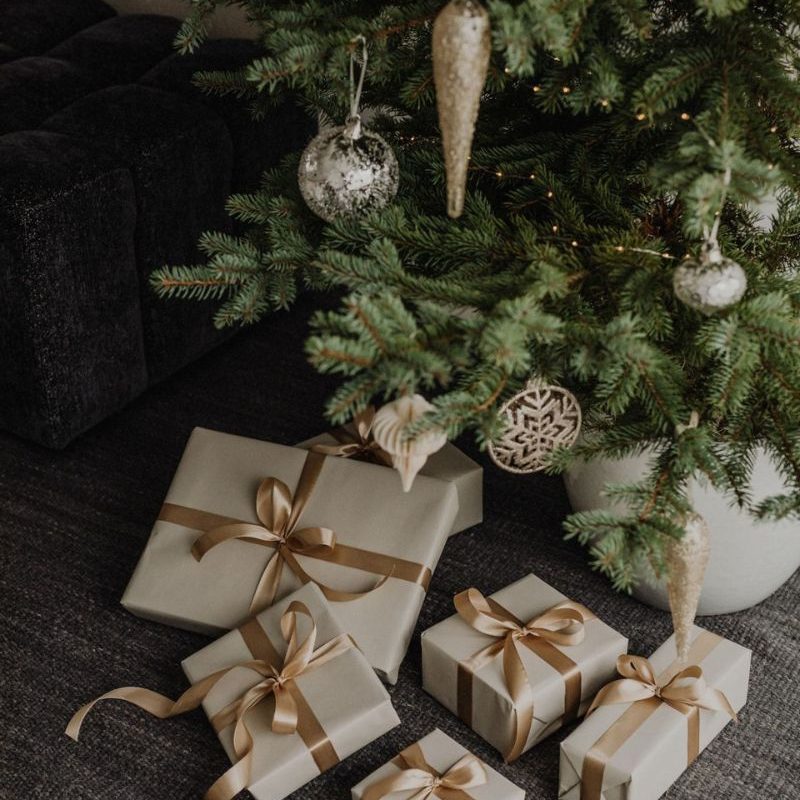 Christmas Holiday Gift Guide 2023 | Pennalife