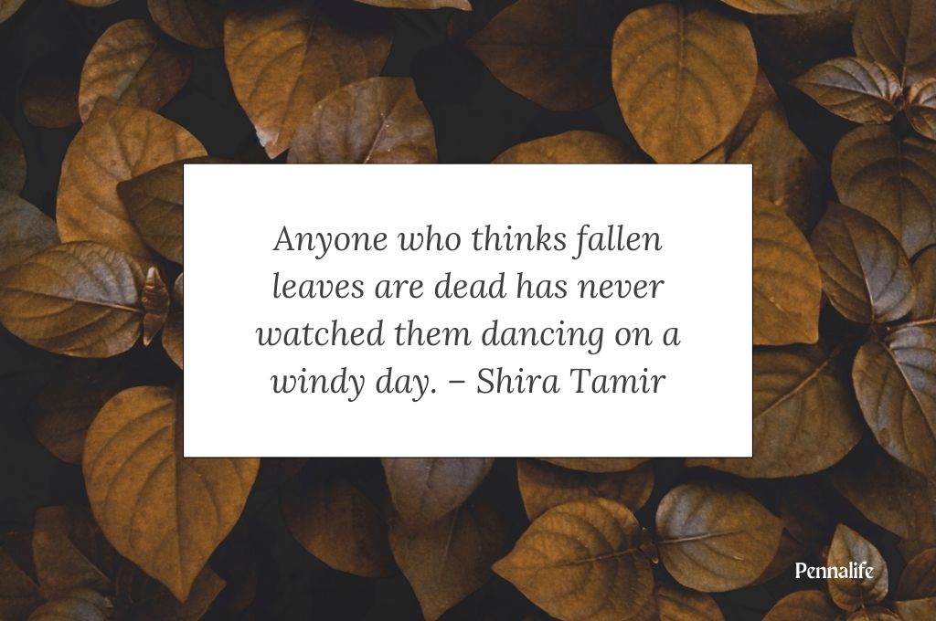 Inspirational Fall Quotes to Spark Your Soul by Shira Tamir & others