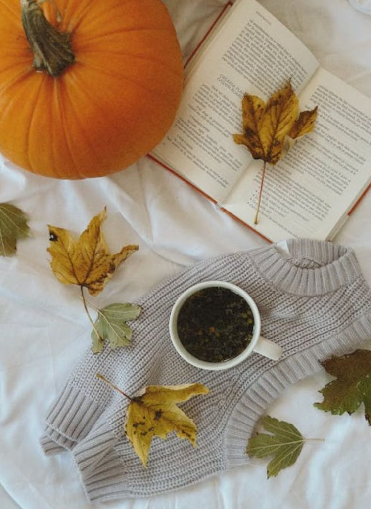 70 Cozy Fall Quotes to Warm Your Soul This Autumn | Pennalife