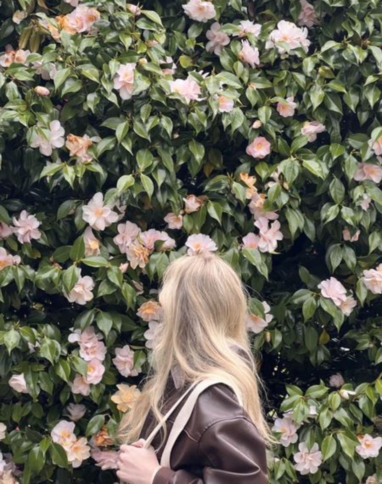 30+ Gorgeous Spring Wallpapers For iPhone to Refresh Your Digital Experience | Pennalife