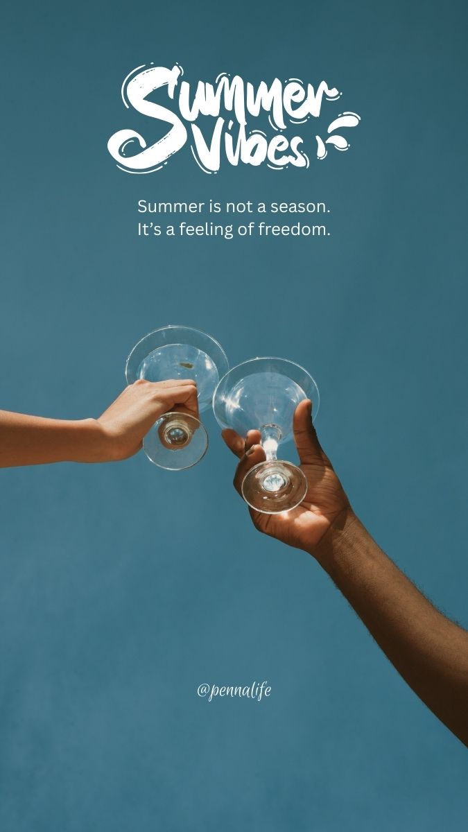 Silly Summer Vibes Quotes